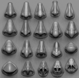 3D 20 noses model