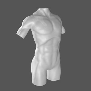 Male Mannequin