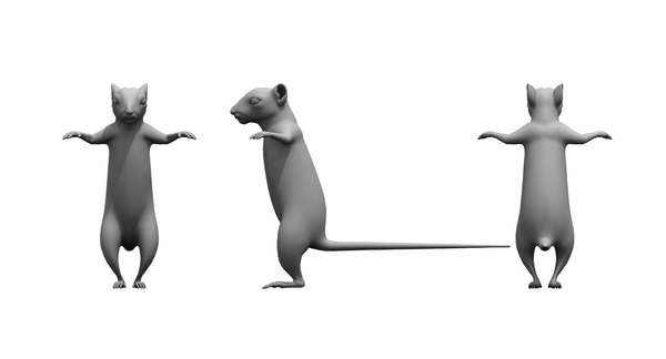 3D squirrel cartoon