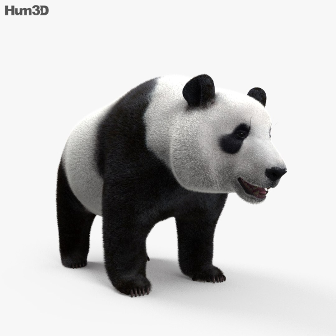 3D giant panda model - TurboSquid 1254308