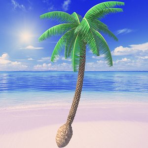 Beach Palm Tree