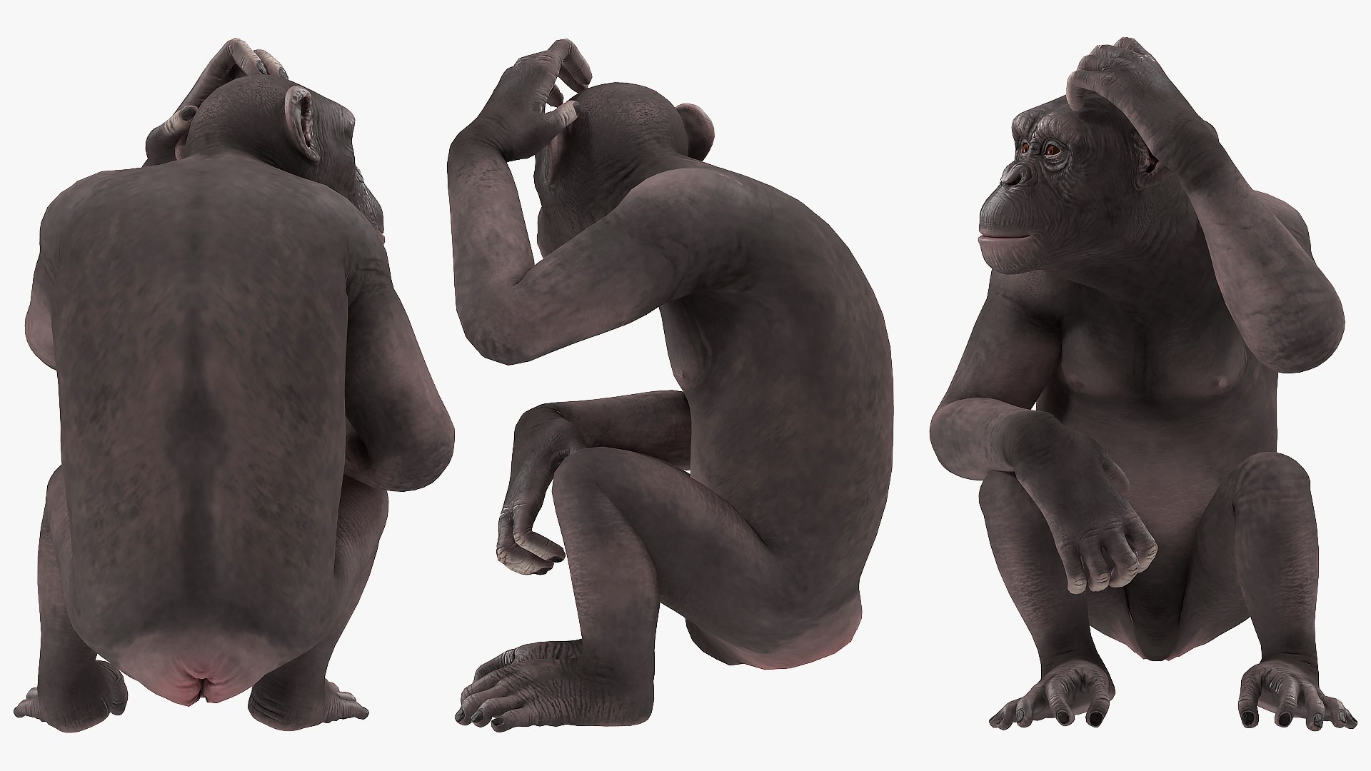 african animals 6 3D https://p.turbosquid.com/ts-thumb/Ow/cuphSX/5wuakXrt/africananimalscollection6c4dmodel006/jpg/1569071489/1920x1080/fit_q87/0084bd7f5601a6aa169a6b0702770c2d9b1c920e/africananimalscollection6c4dmodel006.jpg
