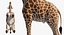 Collection d'animaux d'Afrique 6