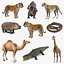 Collection d'animaux d'Afrique 6