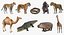 Collection d'animaux d'Afrique 6