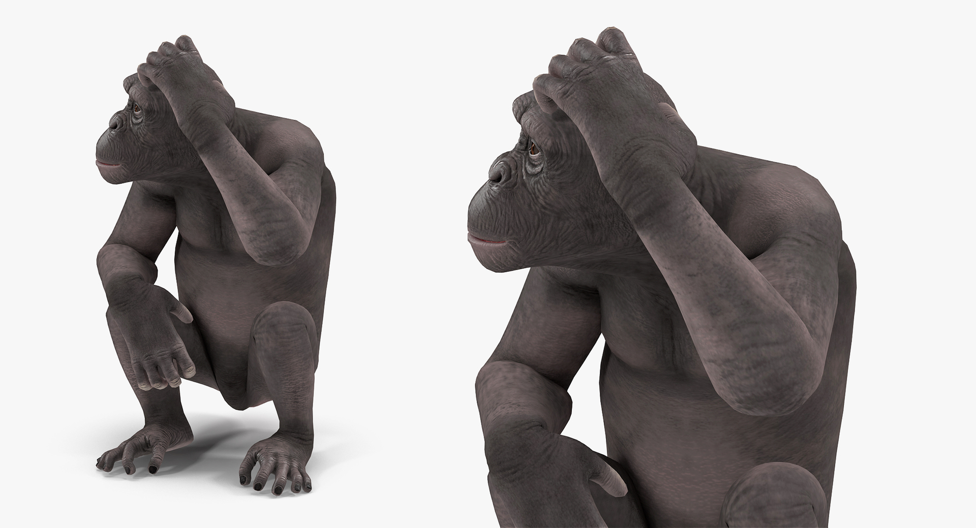 african animals 6 3D https://p.turbosquid.com/ts-thumb/Ow/cuphSX/xVcR2fU7/african_animals_collection_6_360/jpg/1569038018/1920x1080/turn_fit_q99/46743aaba2eb4284db2c7d4b6c7fd89b5a70dc7e/african_animals_collection_6_360-1.jpg