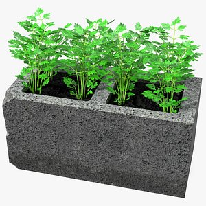 Cinder Block Garden with Parsley 3D model
