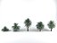butia palm trees collection bundle