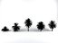 butia palm trees collection bundle