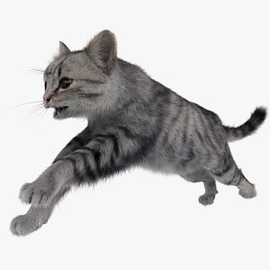 Cat 3 Pose 2 Fur