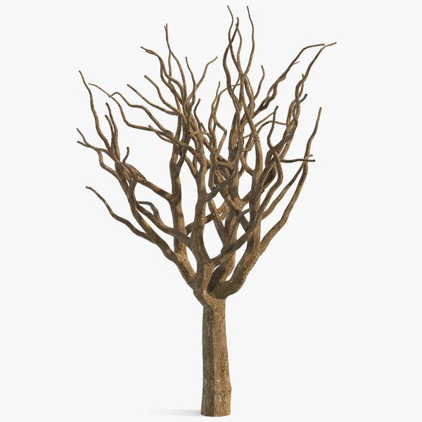 pistachio tree trunk 3D model