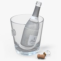 Champagne Bucket and Champagne