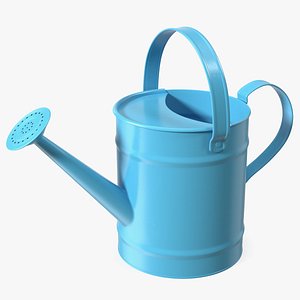 1 Gallon Blue Metal Watering Can