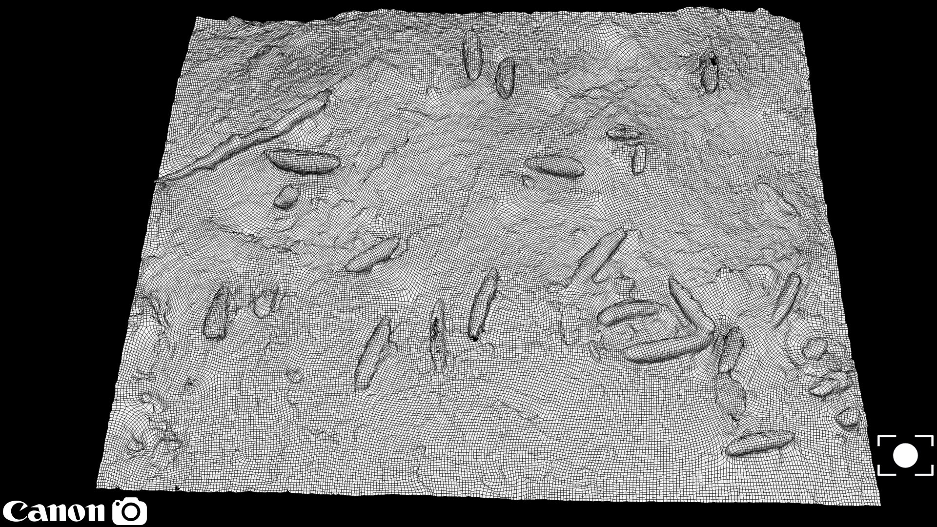 Free Forrest Ground Photogrammetry FREE Model - TurboSquid 2224593