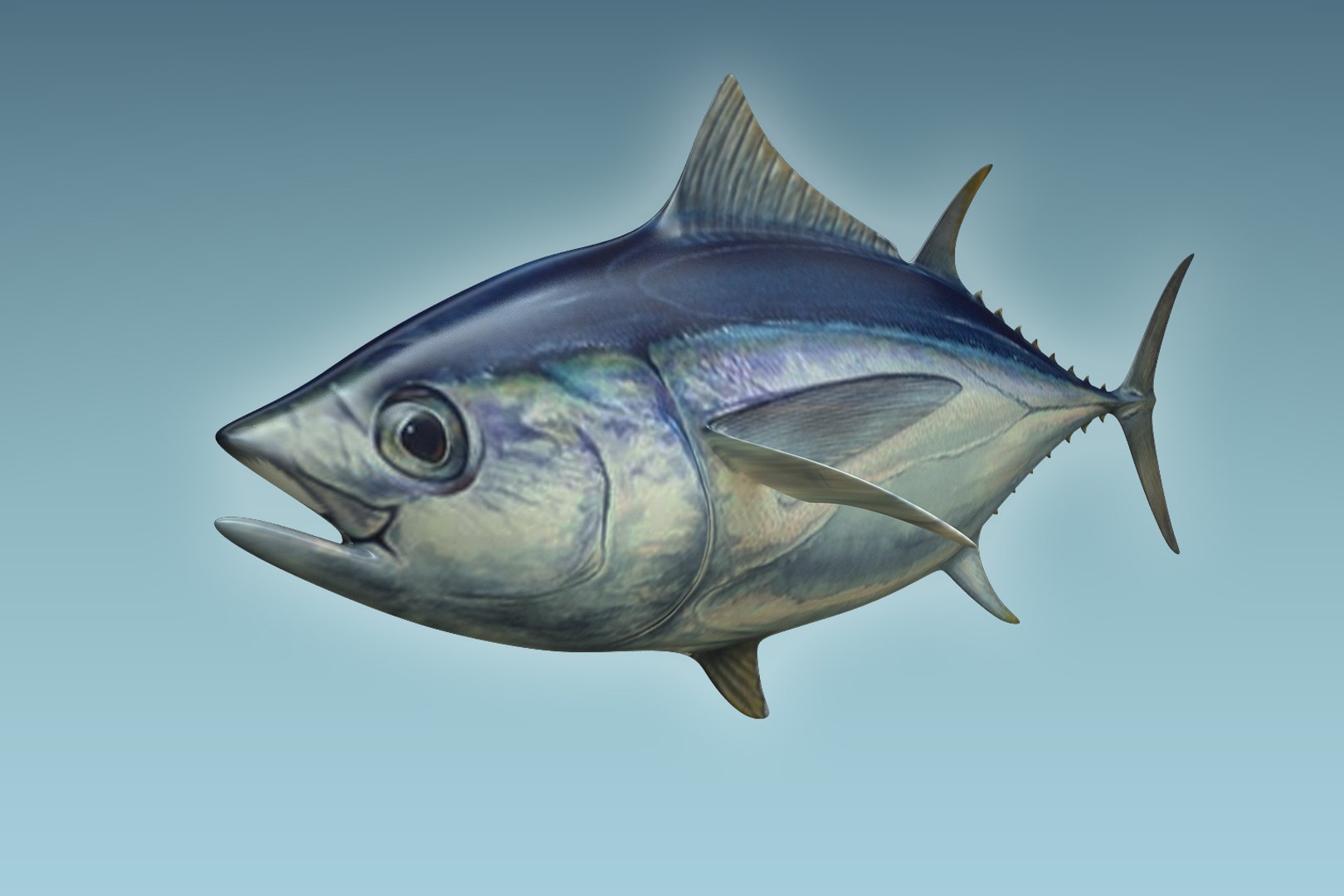3D yellowfin tuna https://p.turbosquid.com/ts-thumb/Ox/Qh2efB/yv5a4ZeI/05/jpg/1504674323/1920x1080/fit_q87/282100586ce947aa2ed1d72200b0e4286ce36dde/05.jpg