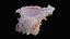 Small Murex Sea Shell
