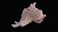 Small Murex Sea Shell