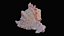 Small Murex Sea Shell