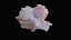 Small Murex Sea Shell