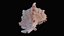 Small Murex Sea Shell