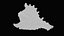 Small Murex Sea Shell
