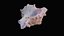 Small Murex Sea Shell