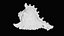 Small Murex Sea Shell