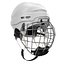 Hockey Helmets 3D Models Collection