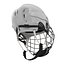 Hockey Helmets 3D Models Collection
