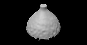 Water hyacinth diffusion abc animation liquid 2
