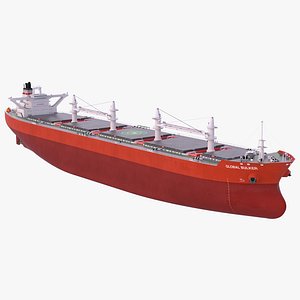 Bulk Carrier Vessel