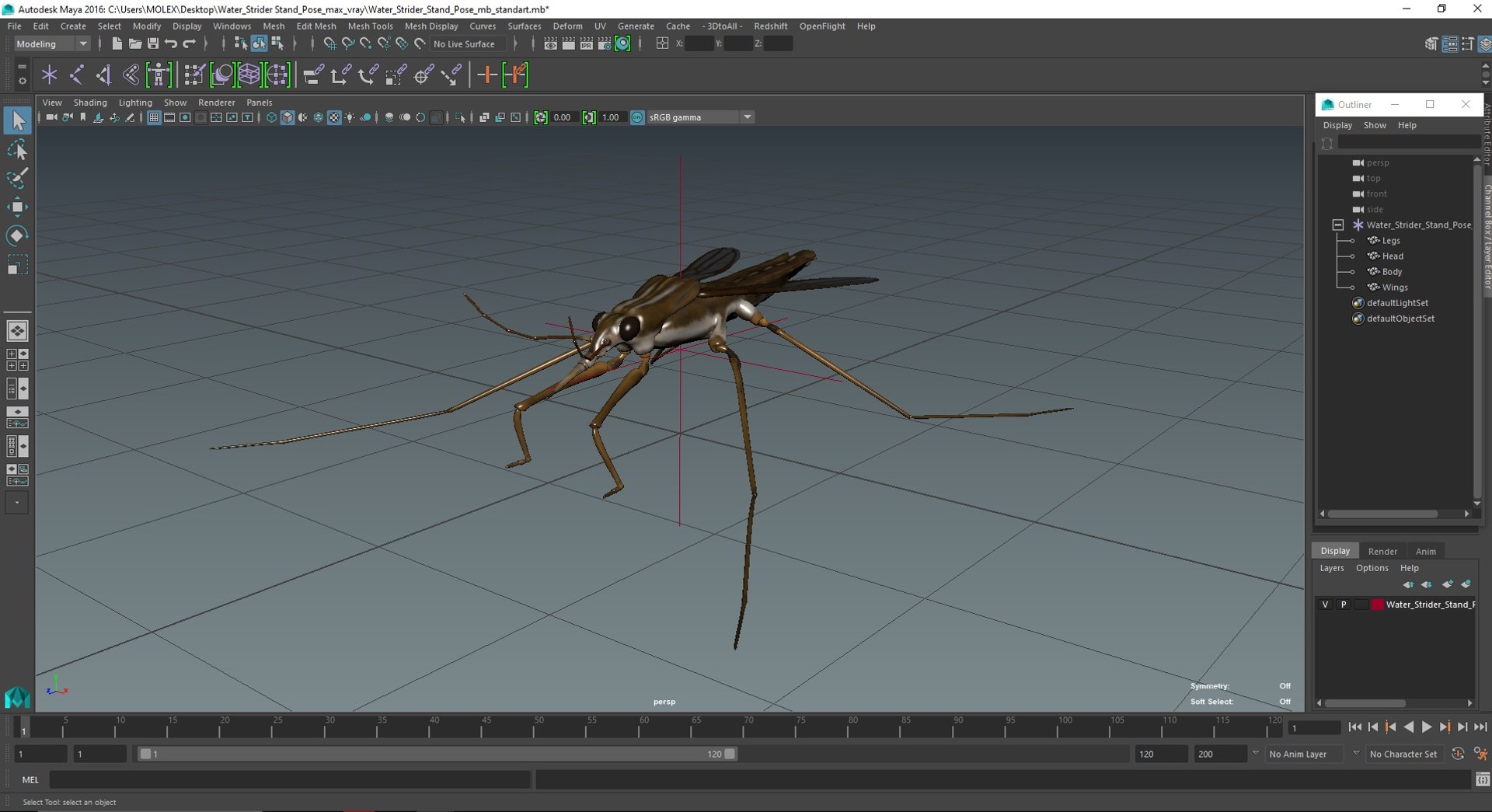3D Water Strider Stand Pose Model - TurboSquid 2114398