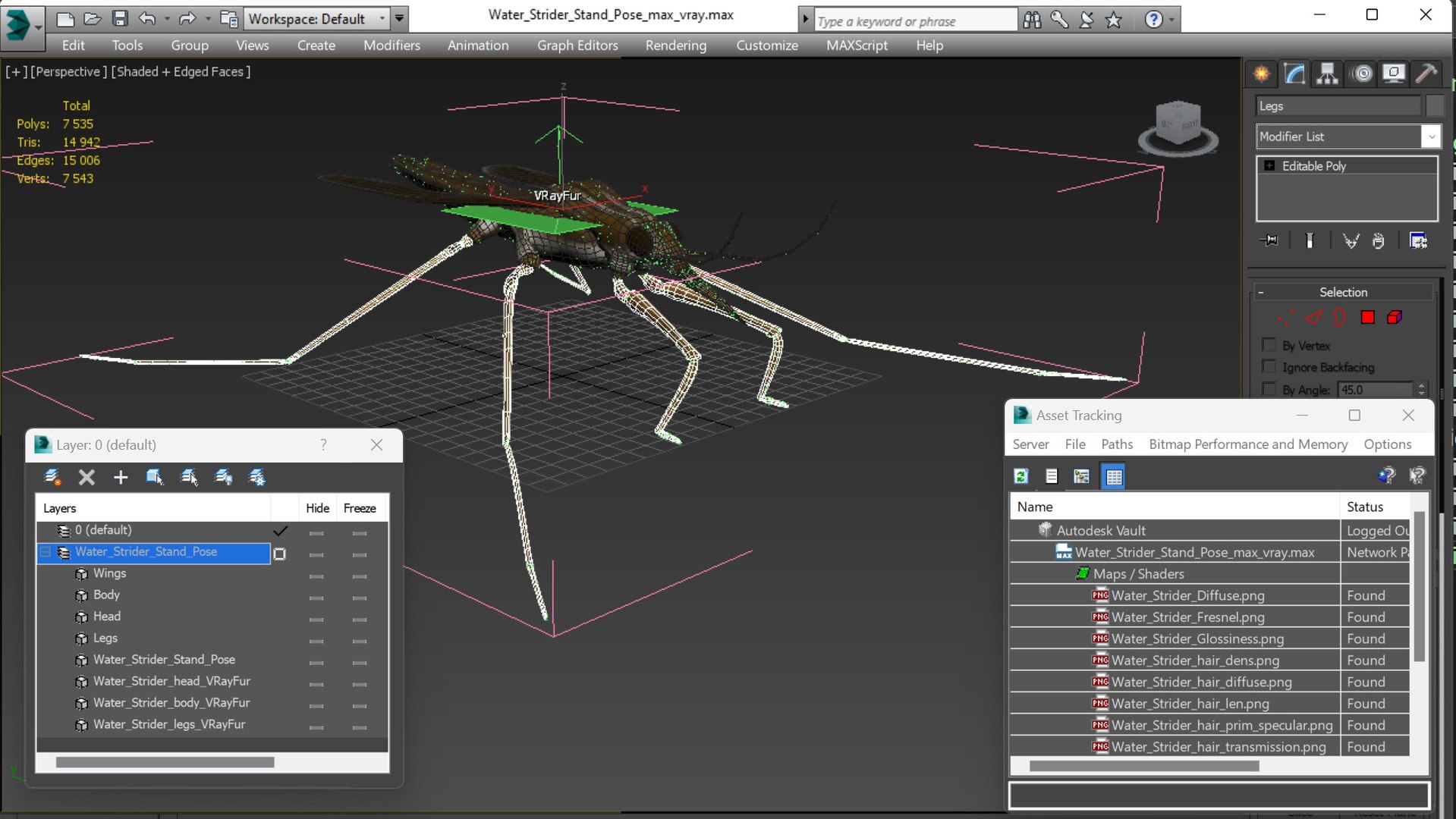 3D Water Strider Stand Pose Model - TurboSquid 2114398