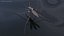 3D Water Strider Stand Pose model