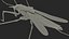 3D Water Strider Stand Pose model