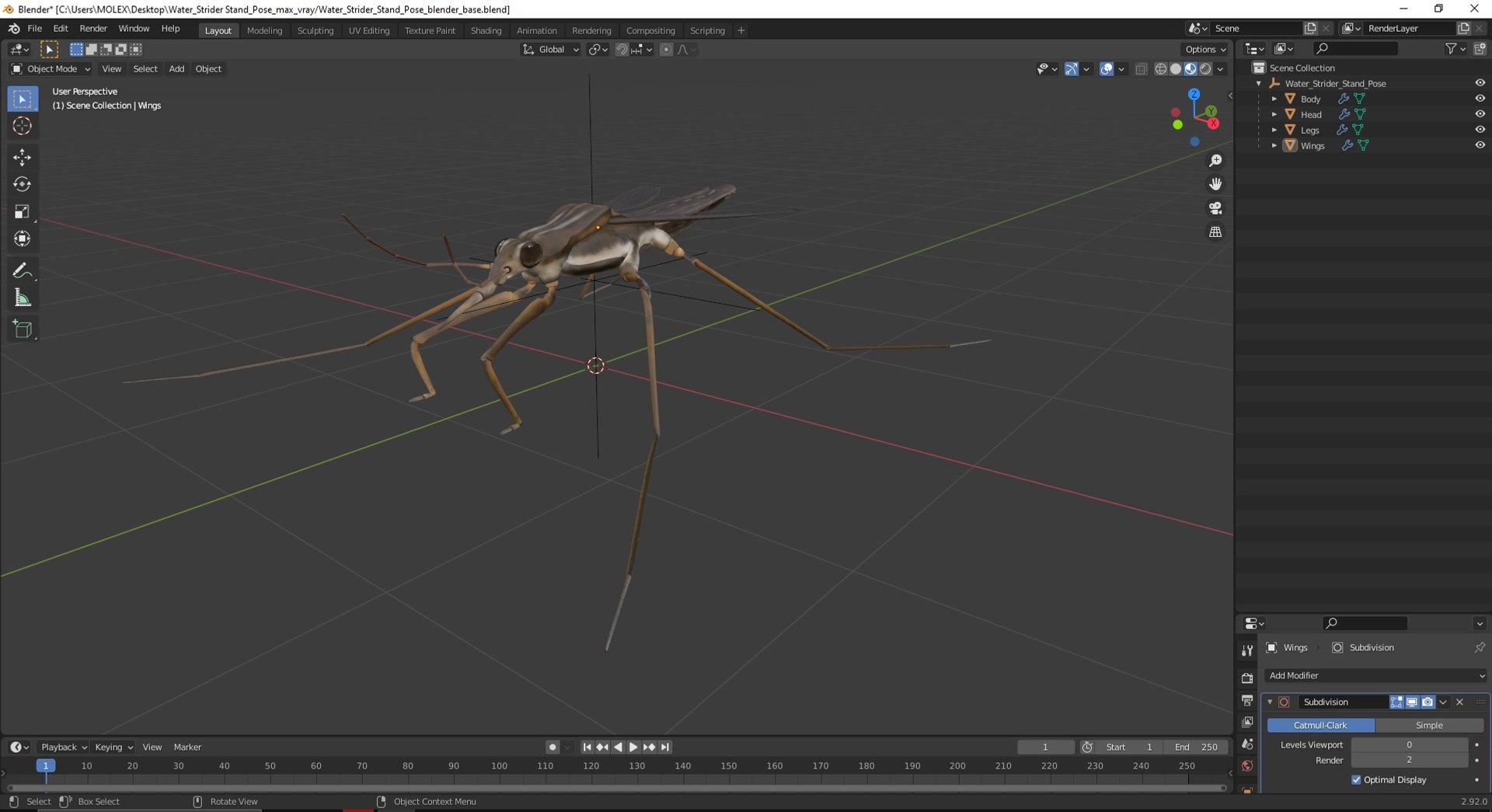 3D Water Strider Stand Pose Model - TurboSquid 2114398