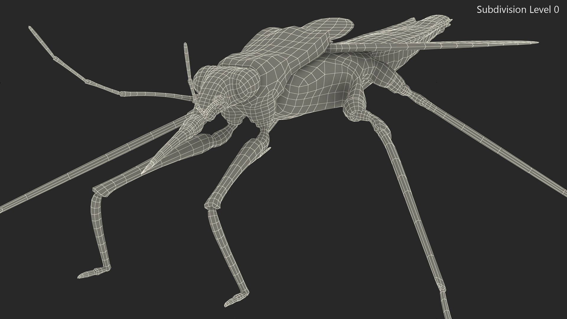 3D Water Strider Stand Pose Model - TurboSquid 2114398