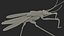 3D Water Strider Stand Pose model