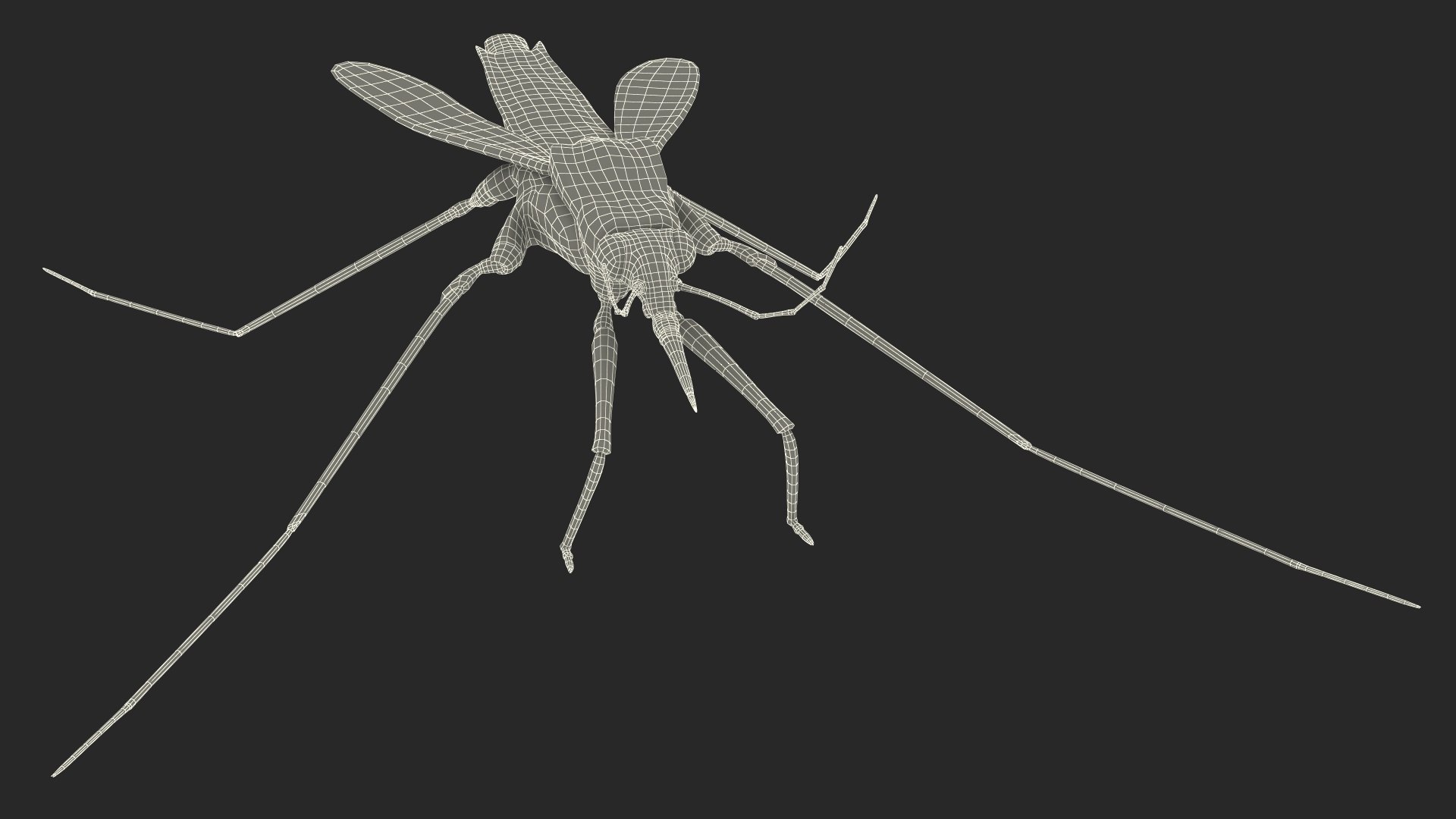 3D Water Strider Stand Pose Model - TurboSquid 2114398
