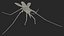 3D Water Strider Stand Pose model