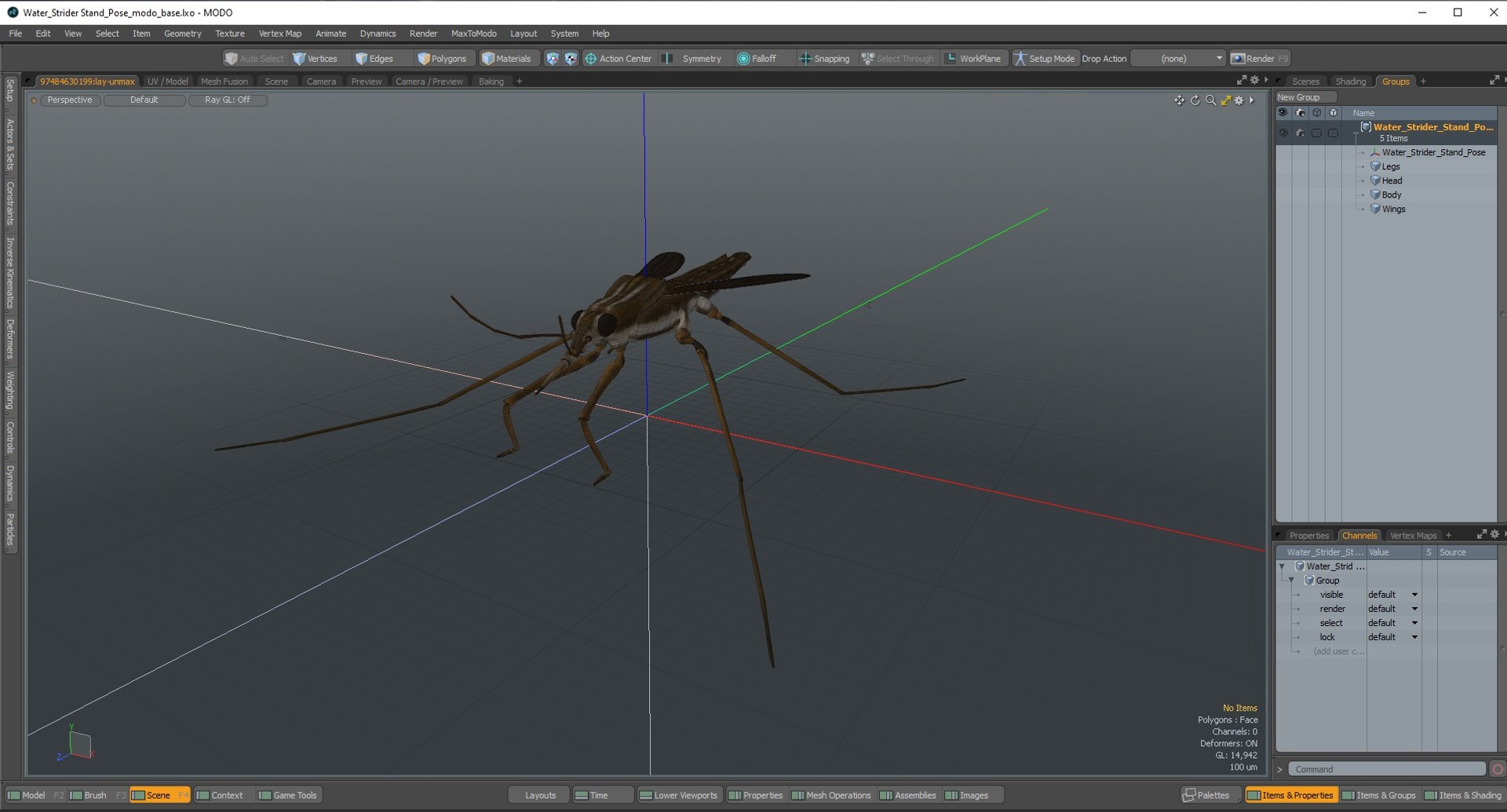 3D Water Strider Stand Pose Model - TurboSquid 2114398