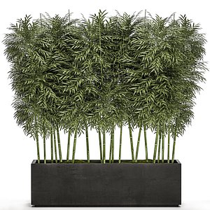 3D ornamental bamboo tree black