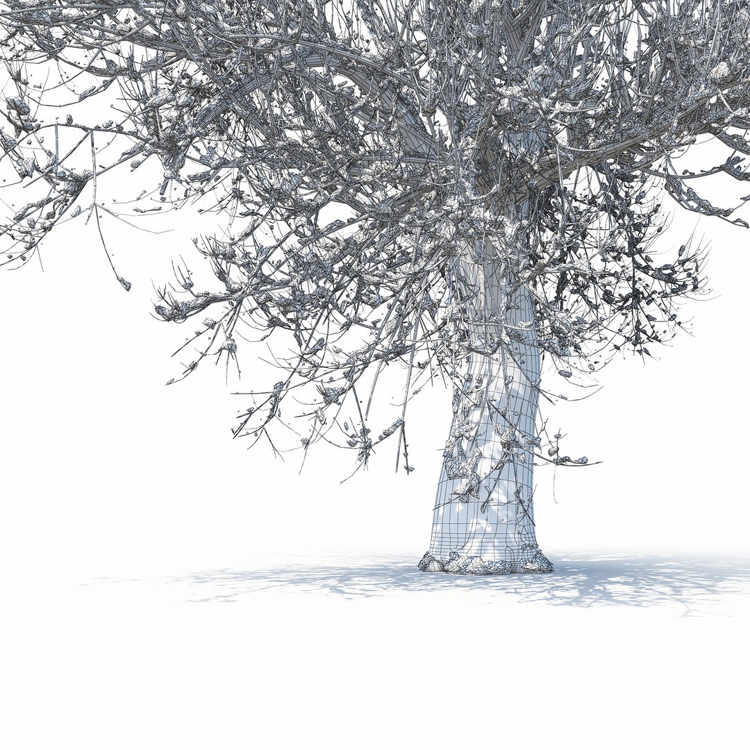3D winter tree 07 https://p.turbosquid.com/ts-thumb/Oy/29JuIx/0HPv6LdK/w_012copy/jpg/1510843603/1920x1080/fit_q87/e5b8c7e6804ae31b8174b0cdfa7258581ee066a8/w_012copy.jpg