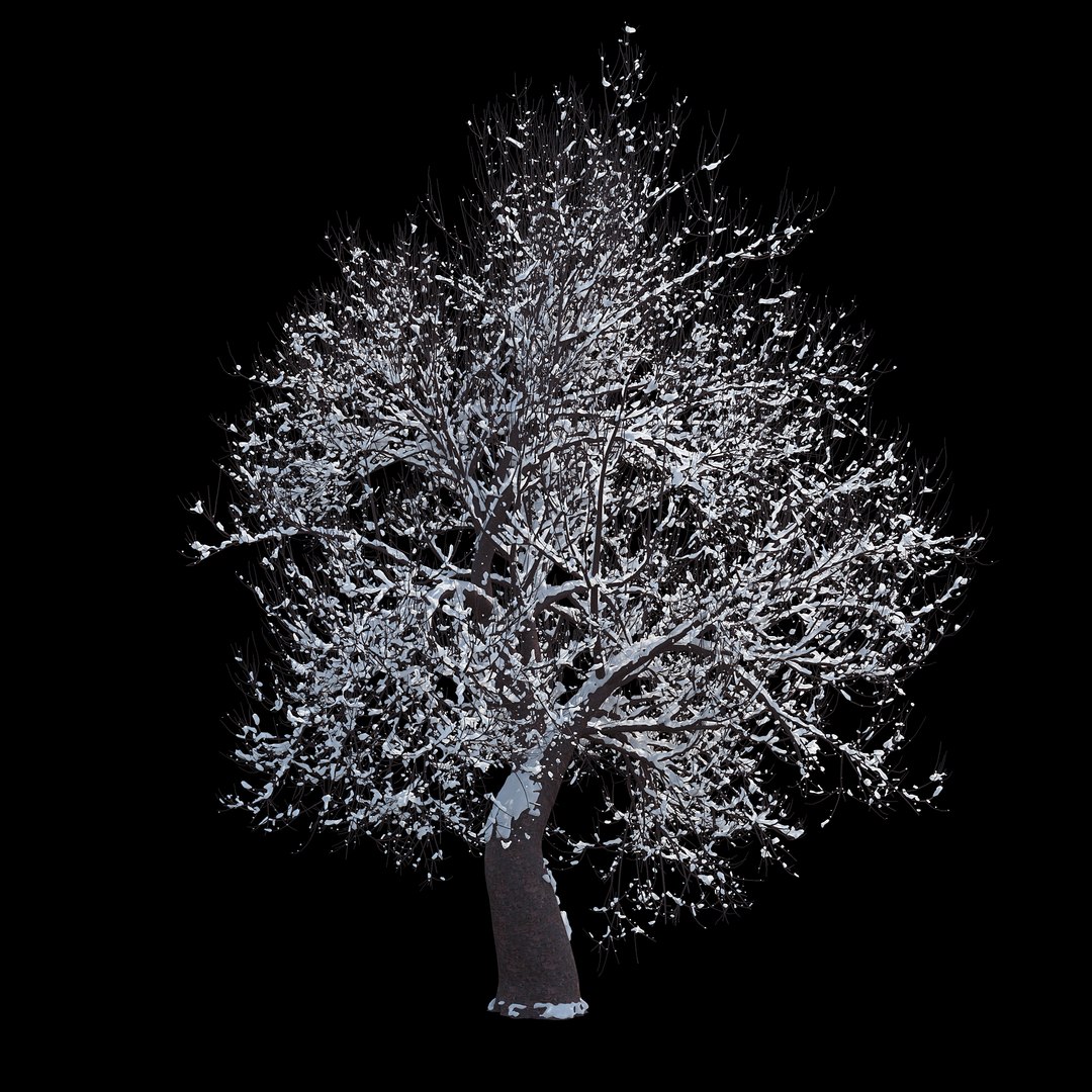 3D winter tree 07 https://p.turbosquid.com/ts-thumb/Oy/29JuIx/452mzQE3/05copy/jpg/1510843602/1920x1080/fit_q87/fdc1e6588ae6f866d46e6e944b61f6992480ffb7/05copy.jpg