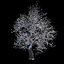 Winter Tree 07