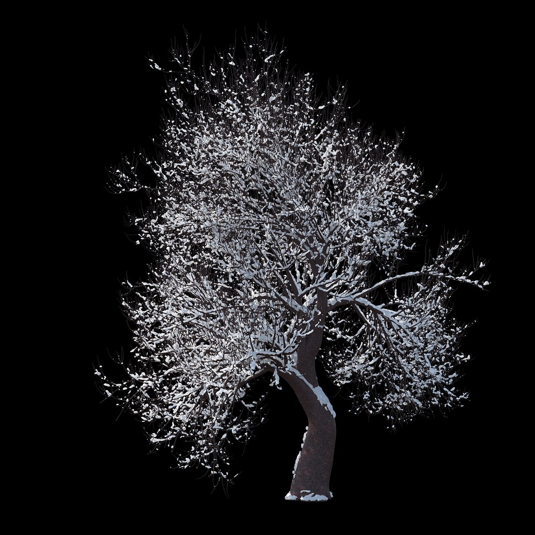 3D winter tree 07 https://p.turbosquid.com/ts-thumb/Oy/29JuIx/GhTtaw31/02copy/jpg/1510843602/1920x1080/fit_q87/5ab519dc210338cd660659fac84f78aa6f089785/02copy.jpg