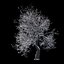 Winter Tree 07