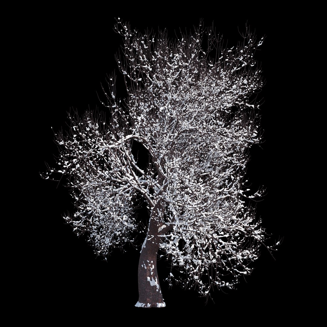 3D winter tree 07 https://p.turbosquid.com/ts-thumb/Oy/29JuIx/NjYJLbsz/07copy/jpg/1510843602/1920x1080/fit_q87/e60887c4bfd0b04df9ffaef190440896f5892f35/07copy.jpg