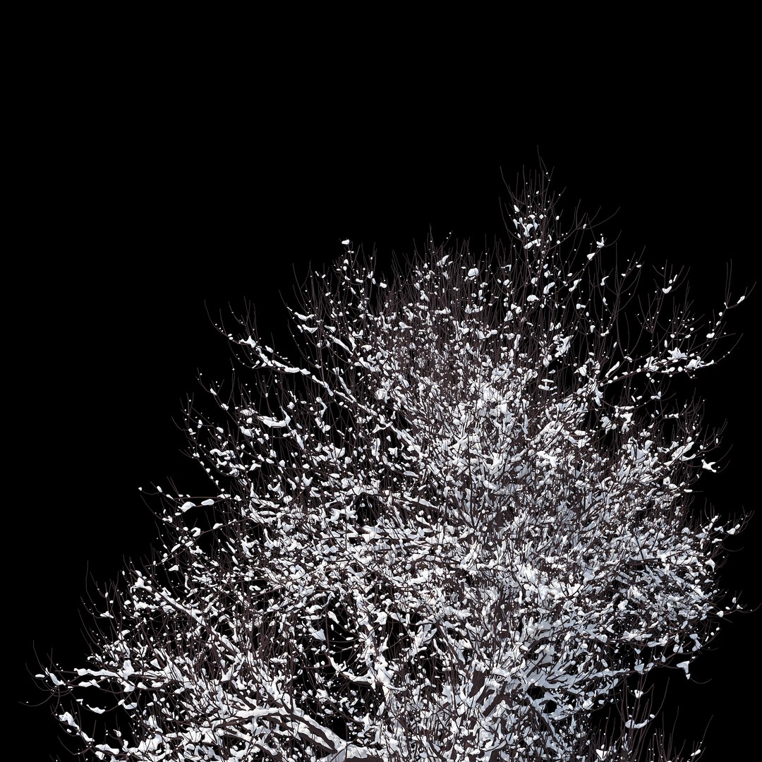 3D winter tree 07 https://p.turbosquid.com/ts-thumb/Oy/29JuIx/PNArM7o8/010copy/jpg/1510843603/1920x1080/fit_q87/4ef4849bd646a6a43ec2a6b5c0ee00e36146dd0c/010copy.jpg