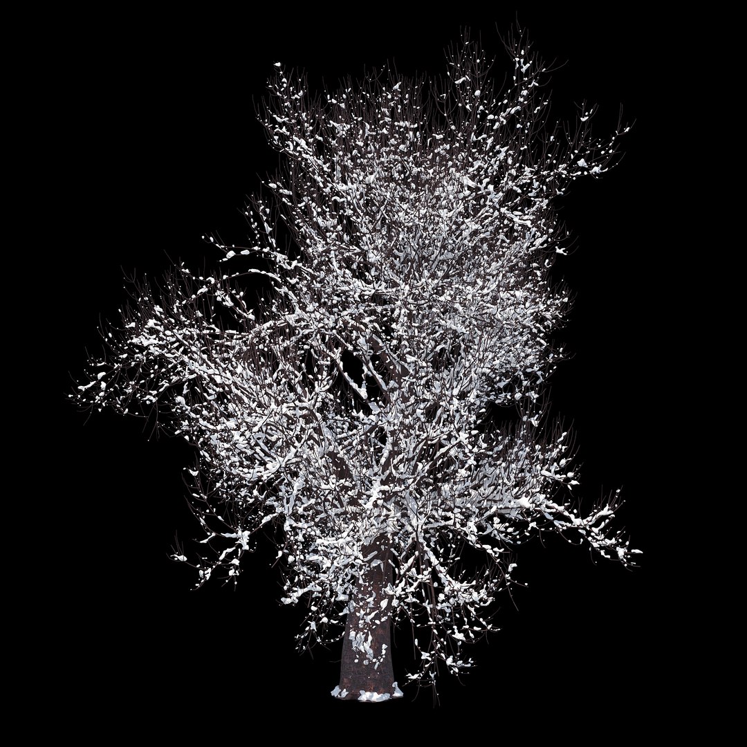 3D winter tree 07 https://p.turbosquid.com/ts-thumb/Oy/29JuIx/STDX1YbE/08copy/jpg/1510843602/1920x1080/fit_q87/9e2686ff28c3b2e0d81e7f1288dc48aac0dd6af8/08copy.jpg